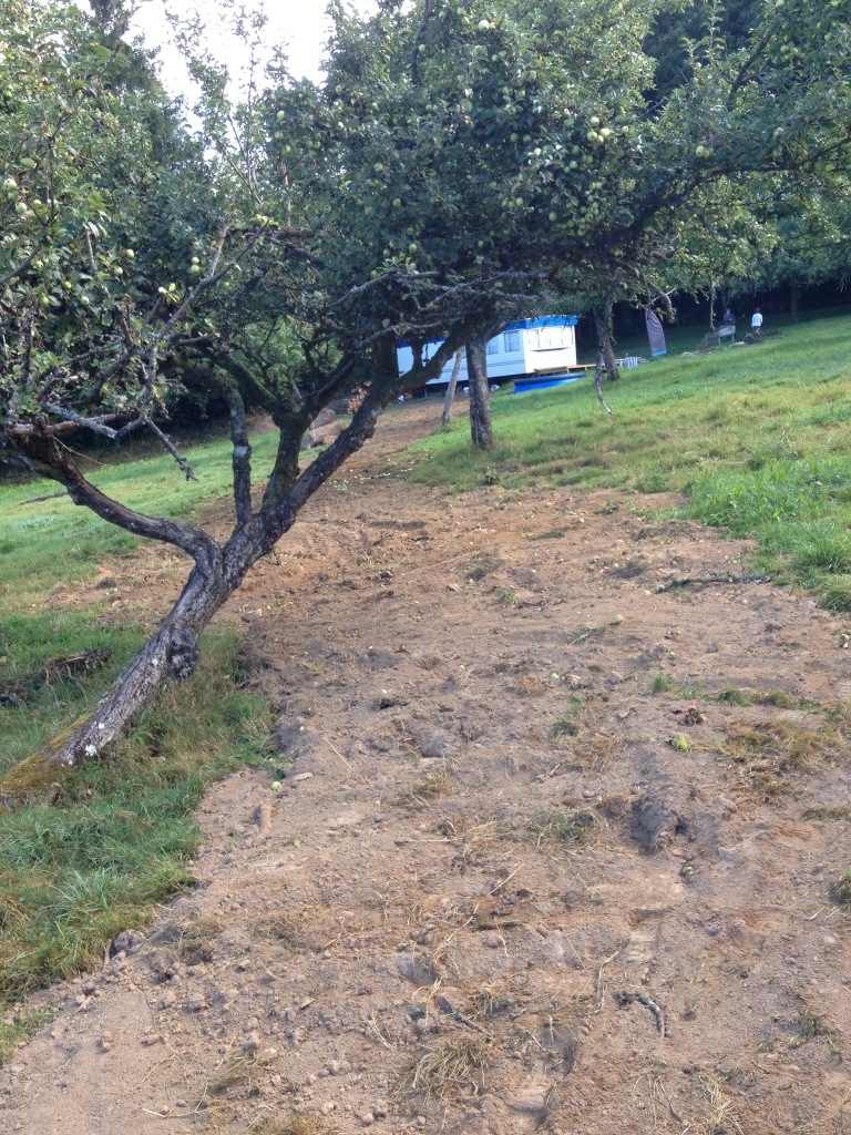 20130909-072907.jpg